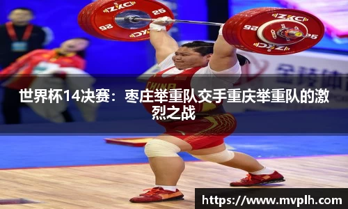 DG视讯官网